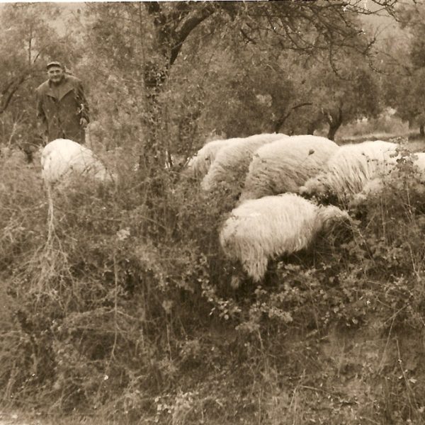 km00191969